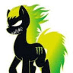 Meet your Posher, Ashton